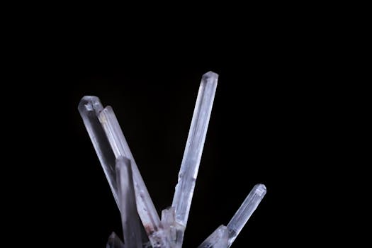 Black quartz Trends: What Germany Buyers Need to Know